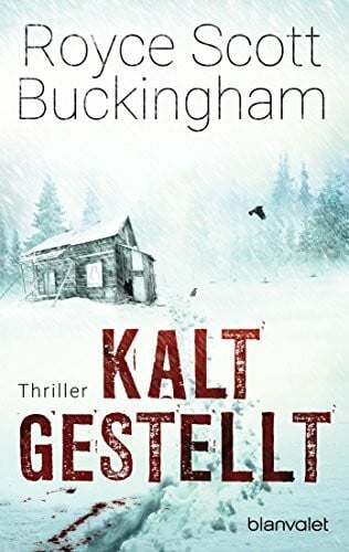 Bergner, Wulf Kaltgestellt: Thriller