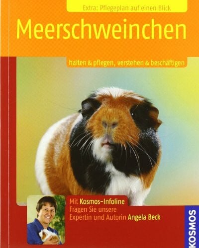 Beck, Peter Meerschweinchen