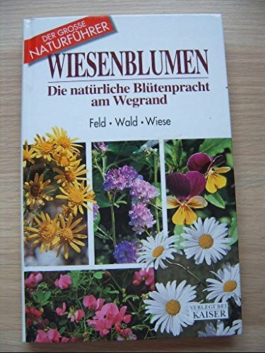 Jakober, Norbert Blumen am Wegrand: In Feld, Wald und Wiese