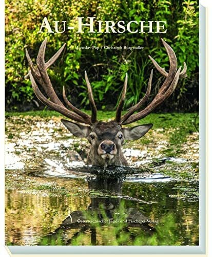 Burgstaller, Christoph Au-Hirsche