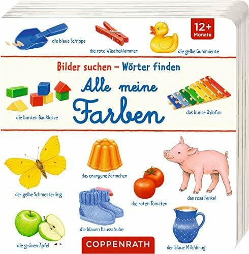 Brauer, Sybille Alle meine Farben (Bilder suchen – Wörter finden)