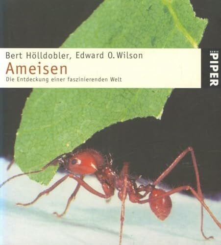 Böll, Susanne Ameisen: Die Entdeckung einer faszinierenden Welt (Piper Taschenbuch, Band 3414)