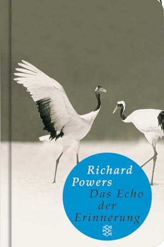 Allié, Manfred Das Echo der Erinnerung: Roman (Fischer Taschenbibliothek)