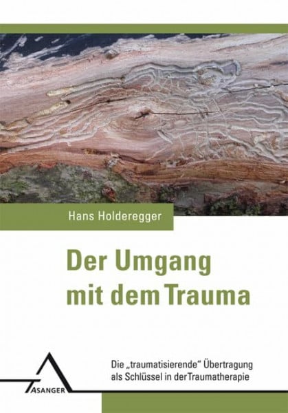 Holderegger, Hans Der Umgang mit dem Trauma: Die „traumatisierende“ Übertragung als Schlüssel in der Traumatherapie.