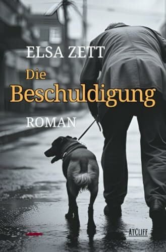 Zett, Elsa Die Beschuldigung: Roman
