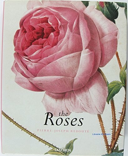 Redouté, Pierre-Joseph Rosen: Pierre-Joseph Redoute, 1759-1840 (Jumbo)