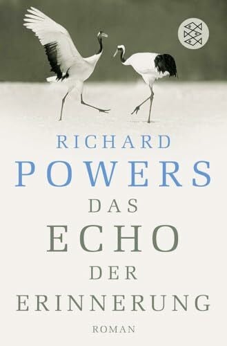 Kempf-Allié, Gabriele Das Echo der Erinnerung: Roman