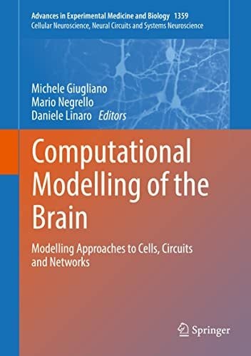 Linaro, Daniele Computational Modelling of the Brain: Modelling Approaches to Cells, Circuits and Networks (Advances in Experimental Medicine and Biology, 1359, Band 1359)