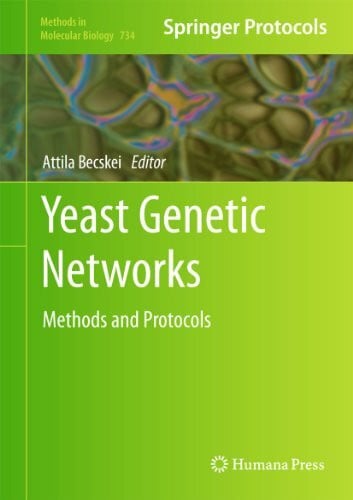 Becskei, Attila Yeast Genetic Networks: Methods and Protocols (Methods in Molecular Biology, 734, Band 734)
