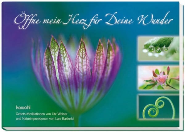 Basinski, Lars Öffne mein Herz für deine Wunder: Gebets-Meditationen