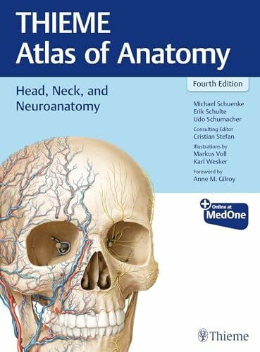 Stefan, Cristian Head, Neck, and Neuroanatomy (THIEME Atlas of Anatomy)