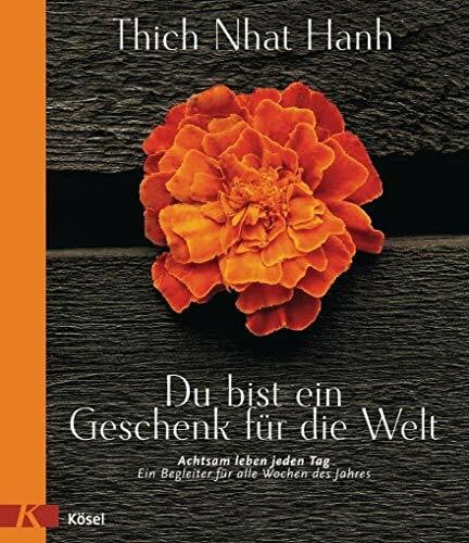 Mayer, Heike Du bist ein Geschenk für die Welt: Achtsam leben jeden Tag - Ein Begleiter für alle Wochen des Jahres
