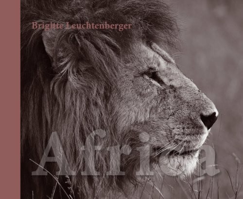 Leuchtenberger, Brigitte Africa: Sinneseindrücke in Bildern