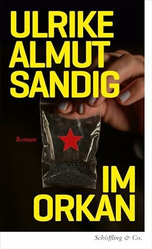 Sandig, Ulrike Almut Im Orkan