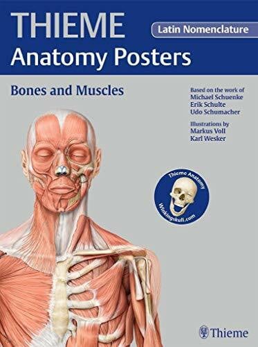 Schumacher, Udo THIEME Anatomy Posters Bones and Muscles, Latin Nomeclature
