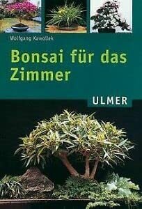 Kawollek, Wolfgang Bonsai für das Zimmer (Ulmer Taschenbücher)
