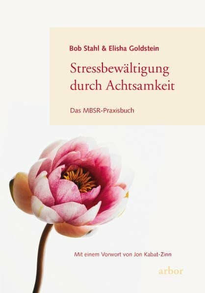 Brandenburg, Peter Stressbewältigung durch Achtsamkeit: Das MBSR-Praxisbuch
