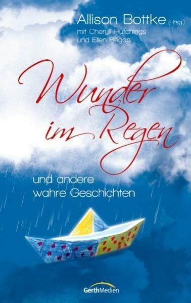 Bottke, Allison Wunder im Regen: und andere wahre Geschichten