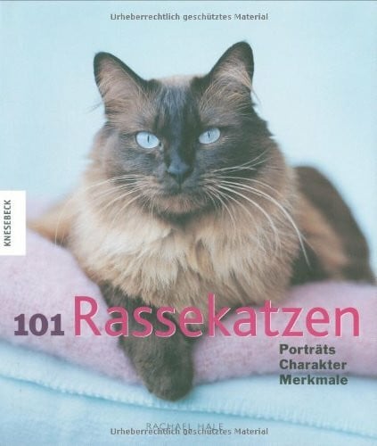 Orth, Jutta 101 Rassekatzen: Porträts, Charakter, Merkmale