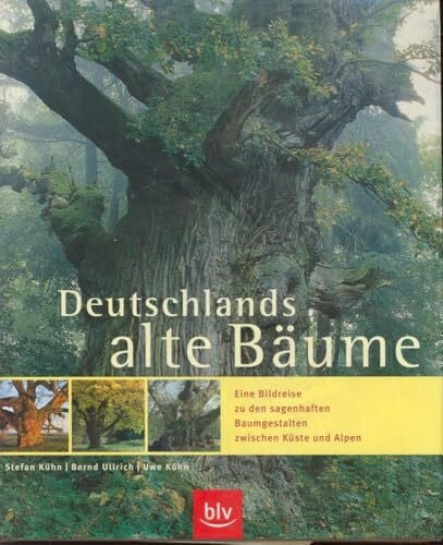 Mair, Jörg Deutschlands alte Bäume: Eine Bildreise zu den sagenhaften Baumgestalten zwischen Küste und Alpen