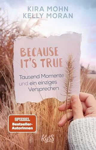 Lamatsch, Vanessa Because It's True - Tausend Momente und ein einziges Versprechen (Because-Reihe, Band 1)
