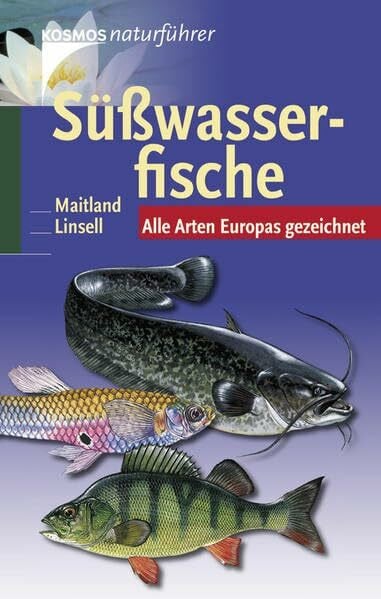 Maitland, Peter Süßwasserfische: Alle Arten Europas gezeichnet