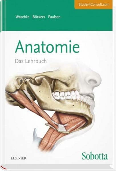 Paulsen, Friedrich Sobotta Lehrbuch Anatomie: Mit StudentConsult-Zugang