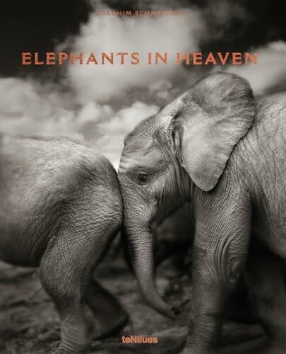 Schmeisser, Joachim Elephants in Heaven: Joachim Schmeisser