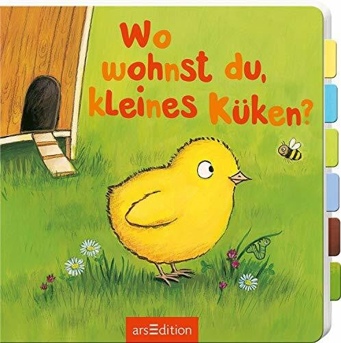 Vogel, Heike Wo wohnst du, kleines Küken?: Aufklappbuch (Klapp um-schau rein!)