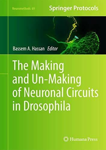 Hassan, Bassem A. The Making and Un-Making of Neuronal Circuits in Drosophila (Neuromethods, 69, Band 69)