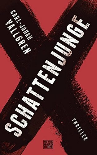 Hildebrandt, Christel Schattenjunge: Thriller (Katz-Westin-Serie, Band 1)