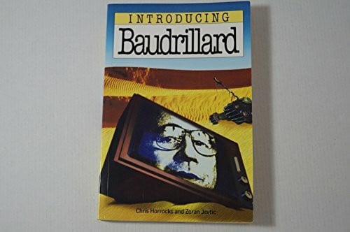 Jevtic, Zoran Introducing Baudrillard