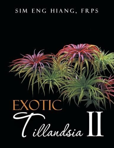 Hiang, Sim Eng Exotic Tillandsia II