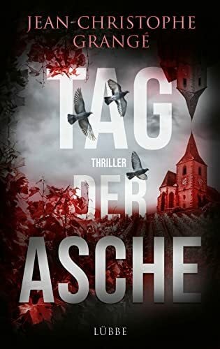 Werner-Richter, Ulrike Tag der Asche: Thriller