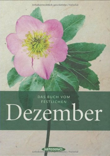 Malin Schwerdtfeger Das Buch vom festlichen Dezember