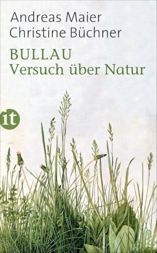 Büchner, Christine Bullau: Versuch über Natur (insel taschenbuch)