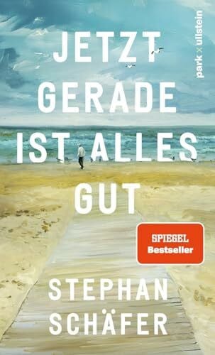 Schäfer, Stephan Jetzt gerade ist alles gut: Nach dem SPIEGEL-Bestseller '25 letzte Sommer' - der neue Roman von Erfolgsautor Stephan Schäfer