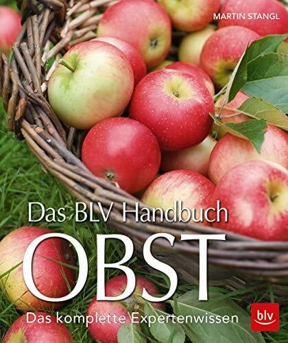 Stangl, Martin Das BLV Handbuch Obst: Das komplette Expertenwissen (BLV Selbstversorgung)