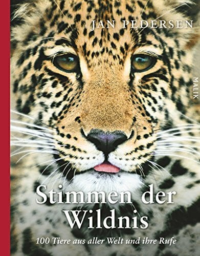 Bezzel, Einhard Stimmen der Wildnis: 100 Tiere aus aller Welt und ihre Rufe