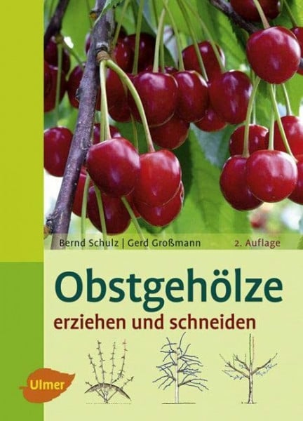 Großmann, Gerd Obstgehölze erziehen und schneiden