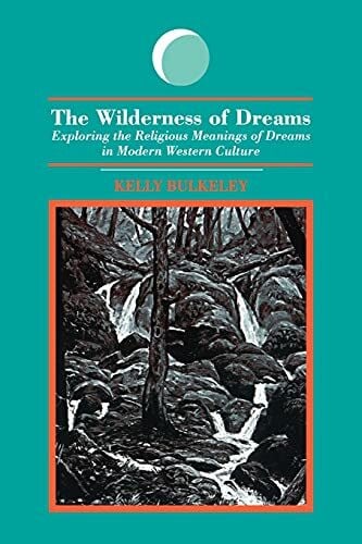 Bulkeley, Kelly The Wilderness of Dreams: Exploring the Religious Meanings of Dreams in Modern Western Culture (S U N Y Series in Dream Studies)
