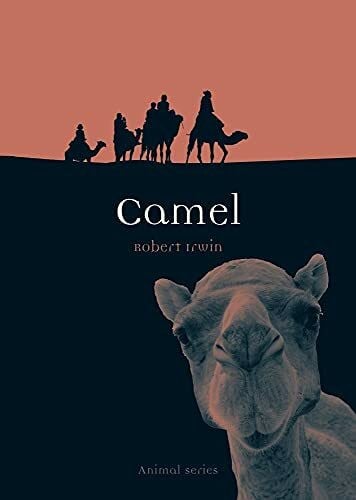 Irwin, Robert Camel (Animal)