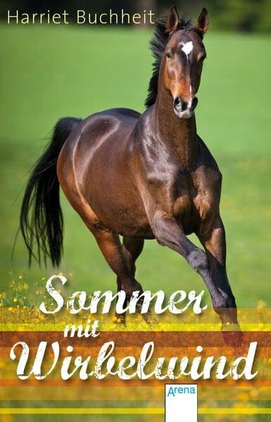Buchheit, Harriet Sommer mit Wirbelwind: Zwei Romane in einem Band