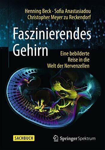 Meyer zu Reckendorf, Christopher Faszinierendes Gehirn: Eine bebilderte Reise in die Welt der Nervenzellen