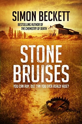 Beckett, S. Stone Bruises