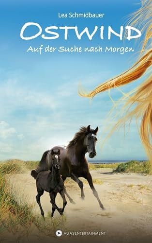 Schmidbauer, Lea Ostwind - Auf der Suche nach Morgen