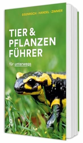 Handel, Alfred Der BLV Tier & Pflanzenführer: für unterwegs (BLV Naturführer)