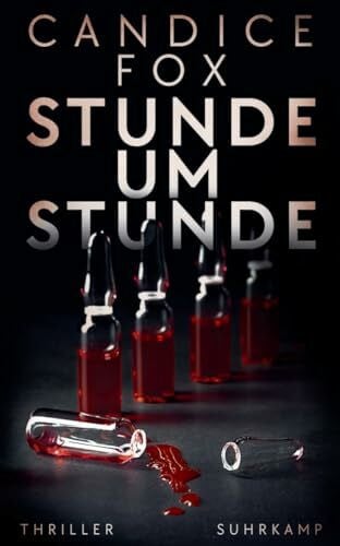 O’Brien, Andrea Stunde um Stunde: Thriller | Die Suche nach ihrer verschwundenen Tochter wurde auf Eis gelegt – jetzt machen sie der Polizei die Hölle heiß …