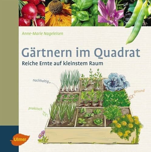 Hesemann, Sabine Gärtnern im Quadrat: Reiche Ernte auf kleinstem Raum