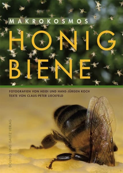 Koch, Heidi Makrokosmos Honigbiene